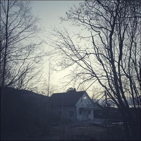 Lavik Waerholmen公寓 外观 照片